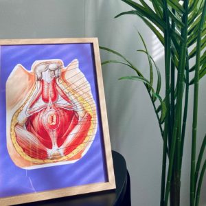 Miesten lantionpohjan fysioterapia